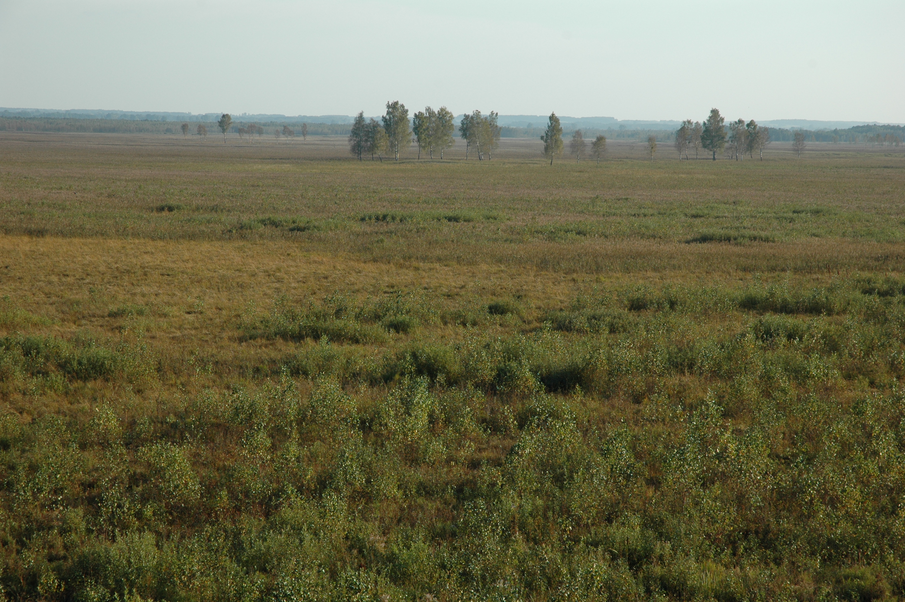 Biebrza River Valley